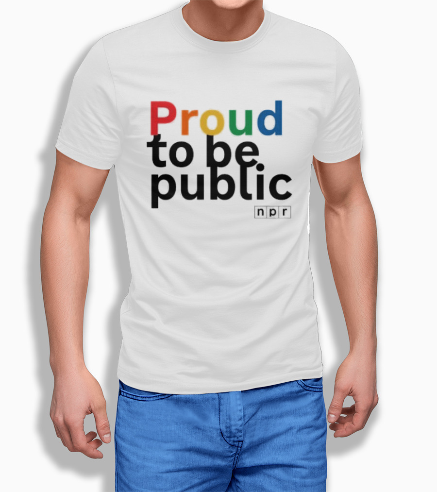 Proud To Be Public Colorful Pride T-Shirt