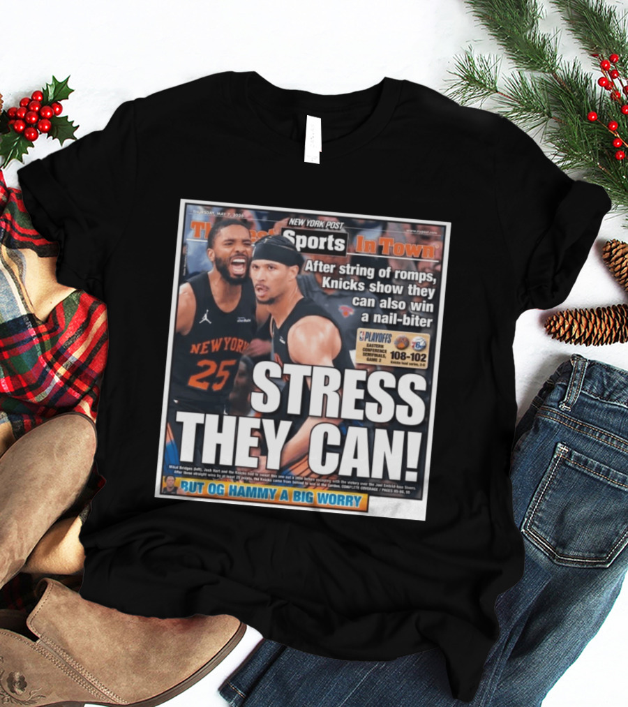 New York Post Sports Knicks Win Nail Biter Stress They Can Playoffs Victory T-Shirt