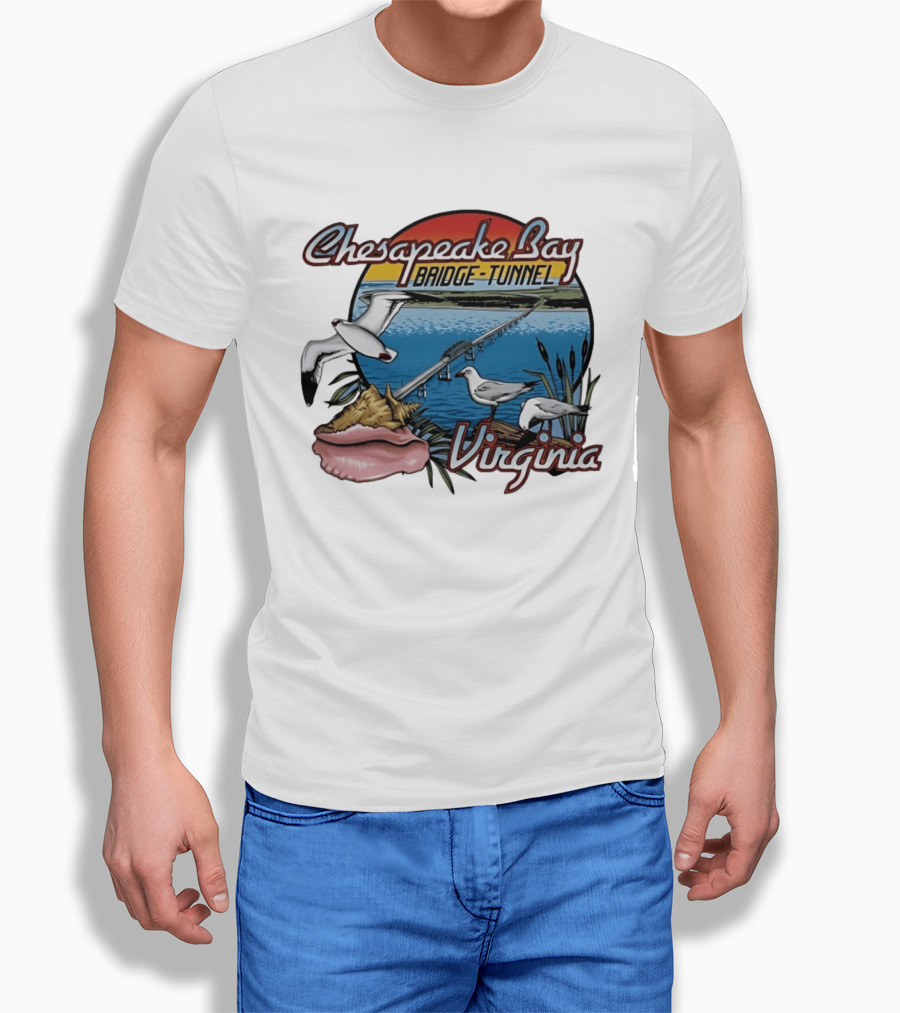 Chesapeake Bay Bridge Tunnel Virginia Seagulls Sunset Scene T-Shirt