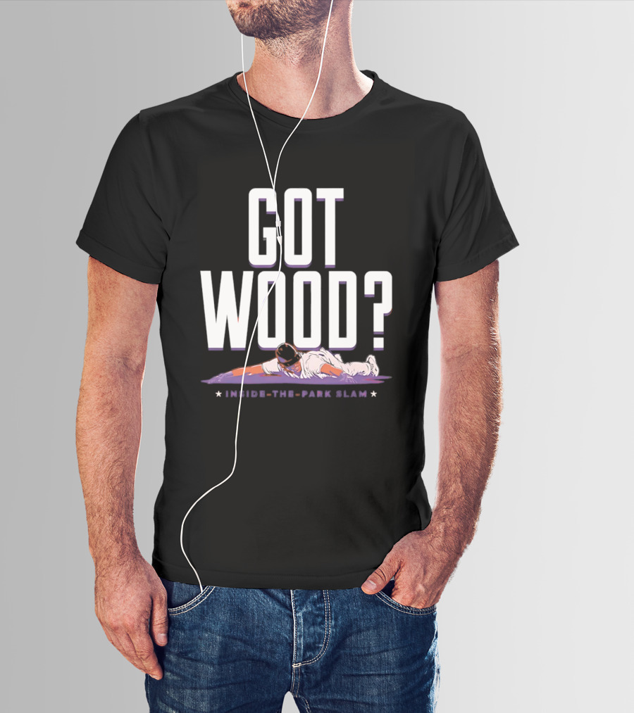 Washington Nationals Baseball Got Wood Inside The Park Slam T-Shirt