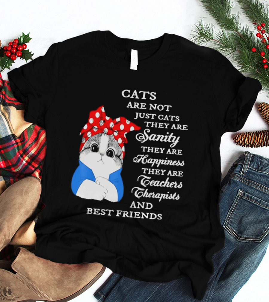 Cats Are Not Just Cats They Are Sanity Happiness Teachers Therapists Best Friends T-Shirt