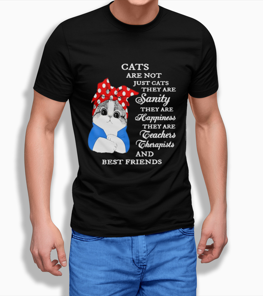 Cats Are Not Just Cats They Are Sanity Happiness Teachers Therapists Best Friends T-Shirt