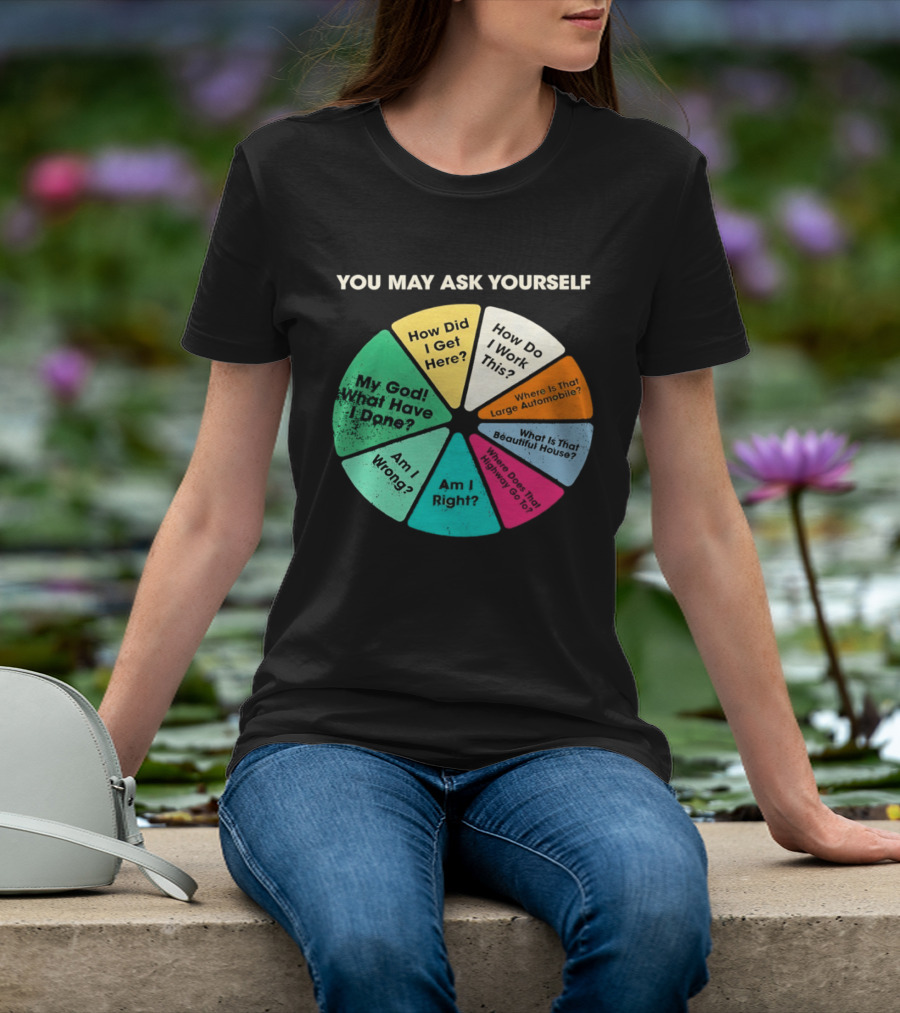 Talking Heads Pie Chart Lyrics You May Ask Yourself Once In A Lifetime T-Shirt