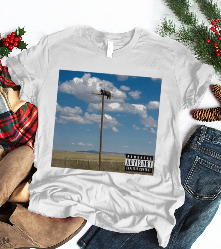 Bear On Top Of The Light Pole Parental Advisory Explicit Content Clouds Sky T-Shirt