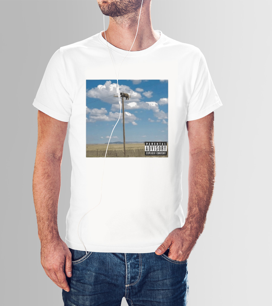 Bear On Top Of The Light Pole Parental Advisory Explicit Content Clouds Sky T-Shirt