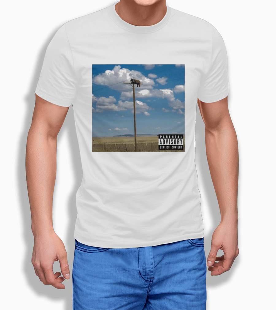 Bear On Top Of The Light Pole Parental Advisory Explicit Content Clouds Sky T-Shirt