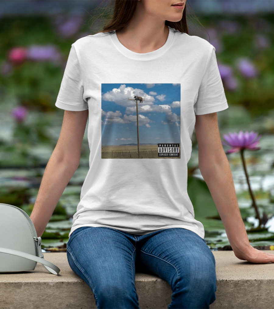 Bear On Top Of The Light Pole Parental Advisory Explicit Content Clouds Sky T-Shirt