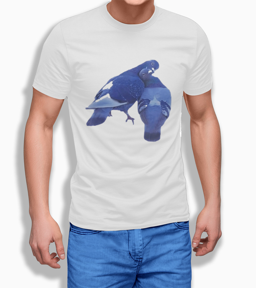 Love Doves Sports Banger Blue Pigeons Embrace T-Shirt