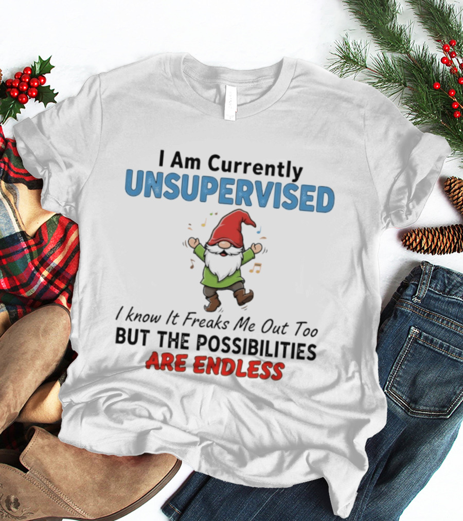 Unsupervised Gnome Christmas Possibilities Endless Fun T-Shirt