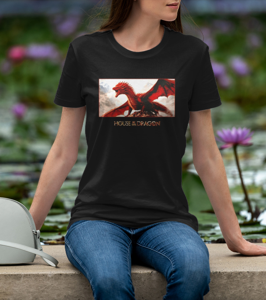 House Of The Dragon Caraxes War Memorial Mountains Scene T-Shirt