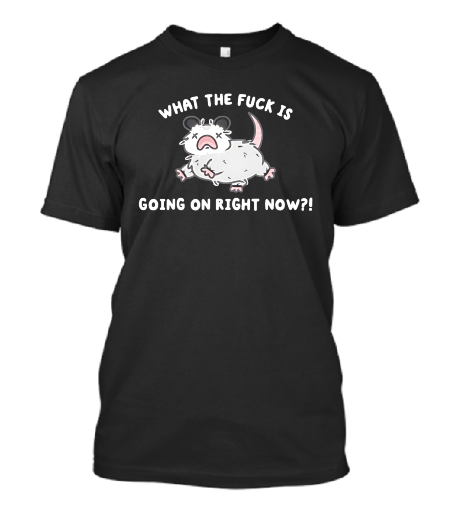 What The Fuck Is Going On Right Now Opossum T-Shirt