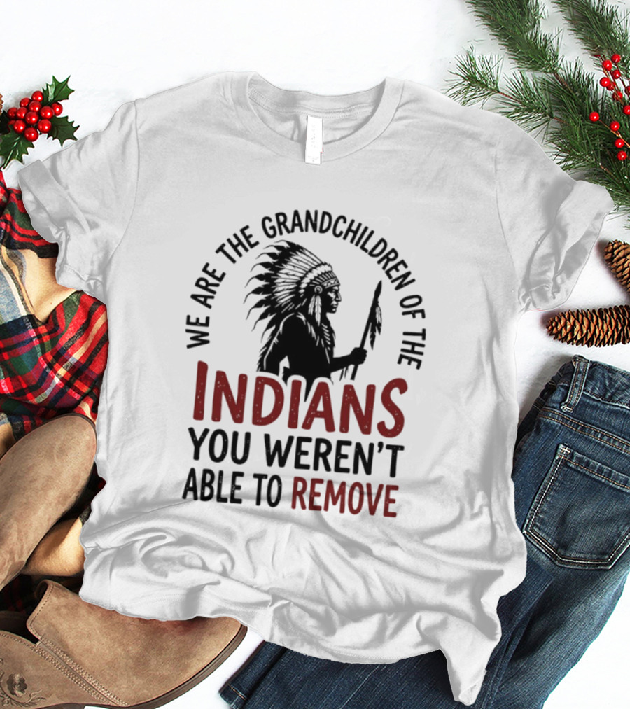We Are The Grandchildren Of The Indians You Weren't Able To Remove Native American Headdress T-Shirt