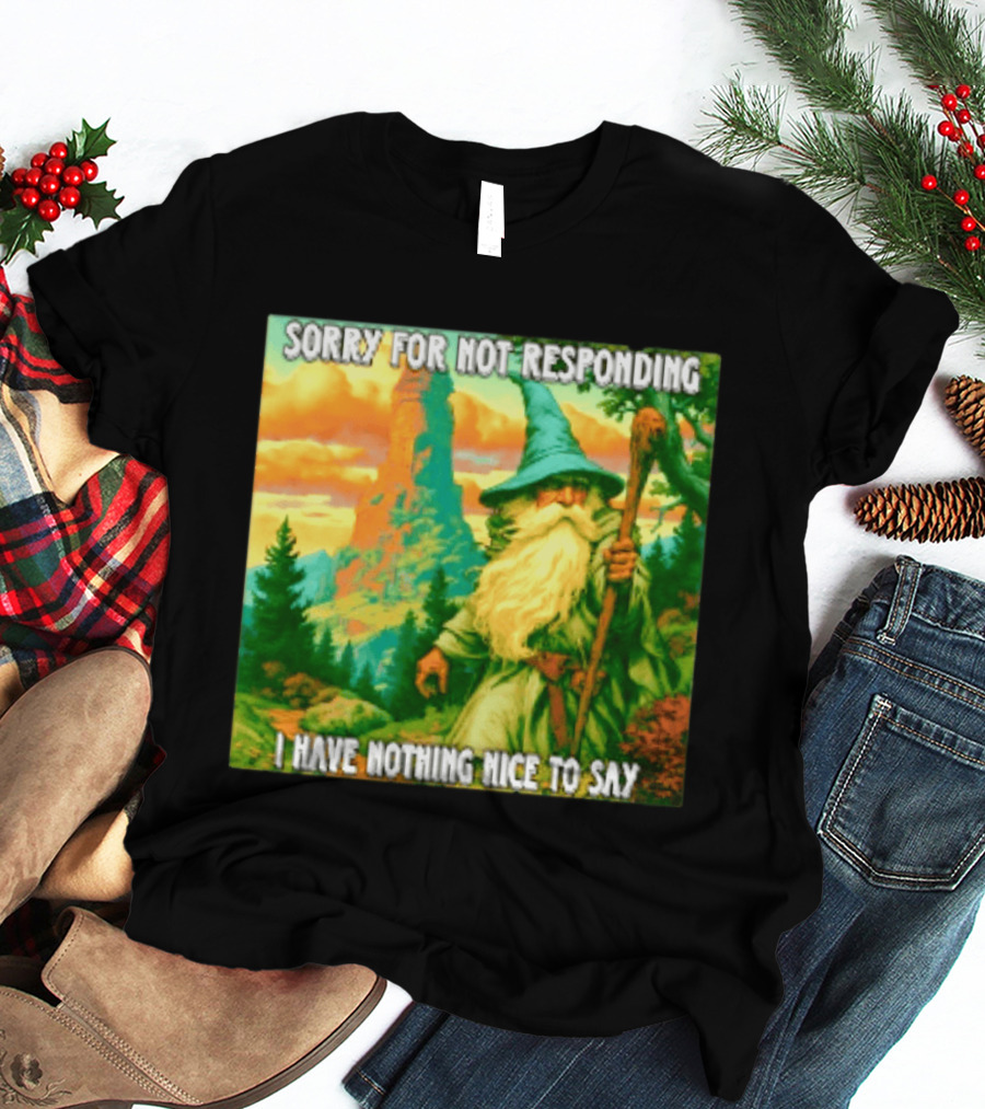 Sorry For Not Responding I Have Nothing Nice To Say Wizard Scene T-Shirt