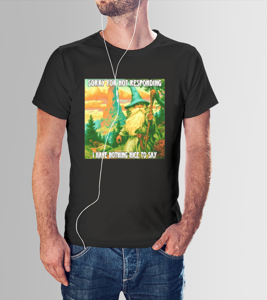 Sorry For Not Responding I Have Nothing Nice To Say Wizard Scene T-Shirt