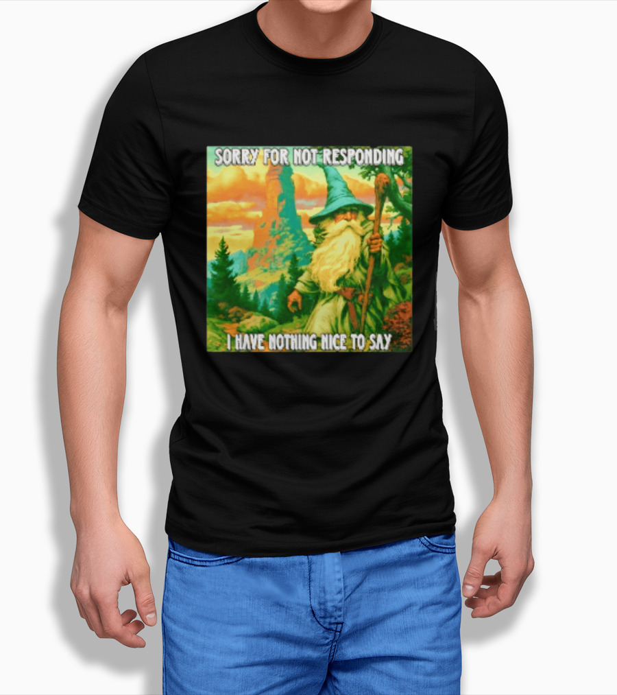 Sorry For Not Responding I Have Nothing Nice To Say Wizard Scene T-Shirt