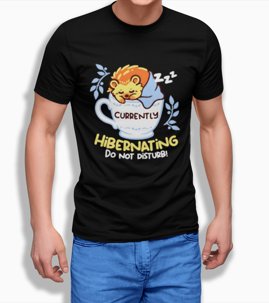 Currently Hibernating Do Not Disturb Hedgehog In Teacup Python T-Shirt