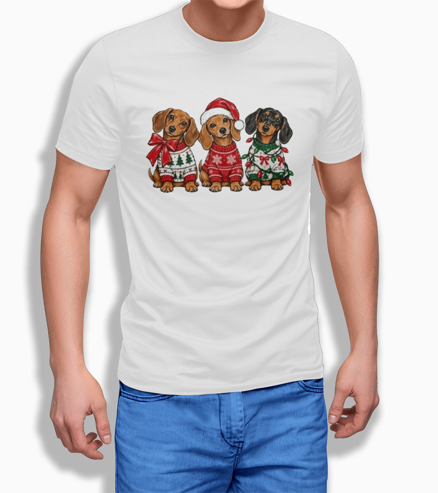 Cozy Christmas Dachshund Trio In Festive Sweaters With Santa Hat T-Shirt
