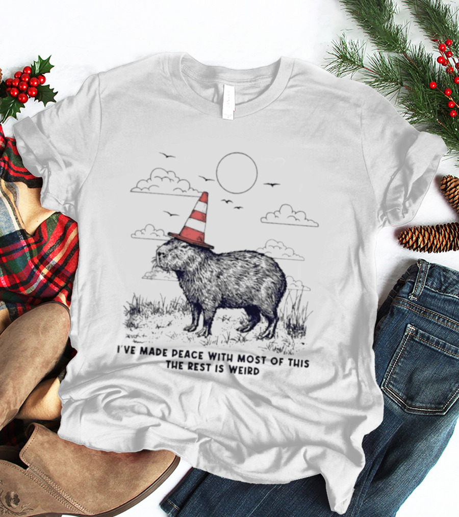 Capybara With Cone Hat Peaceful Yet Weird Scene I've Made Peace With Most Of This T-Shirt