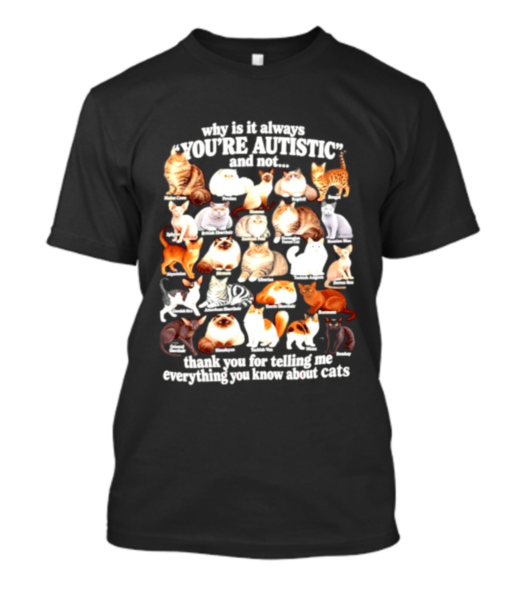 Why Is It Always You're Autistic And Not Thank You For Telling Me Everything You Know About Cats T-Shirt