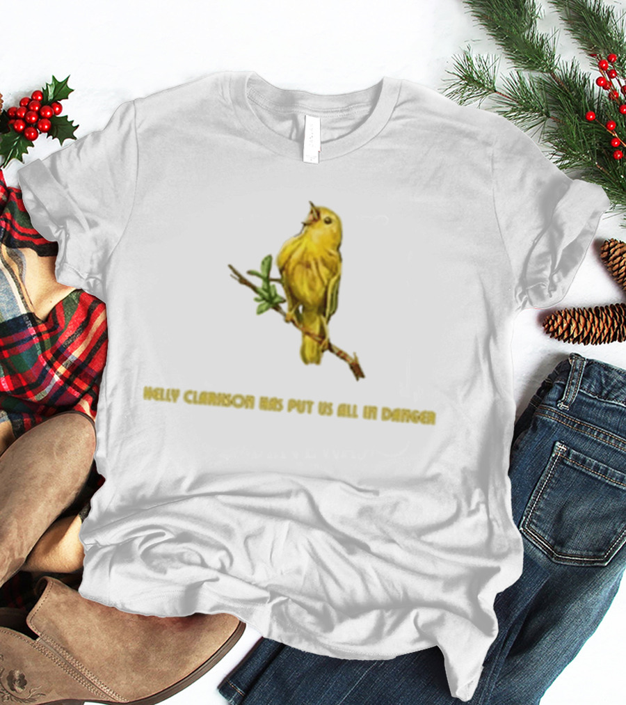 Kelly Clarkson Has Put Us All In Danger Molly Bird T-Shirt