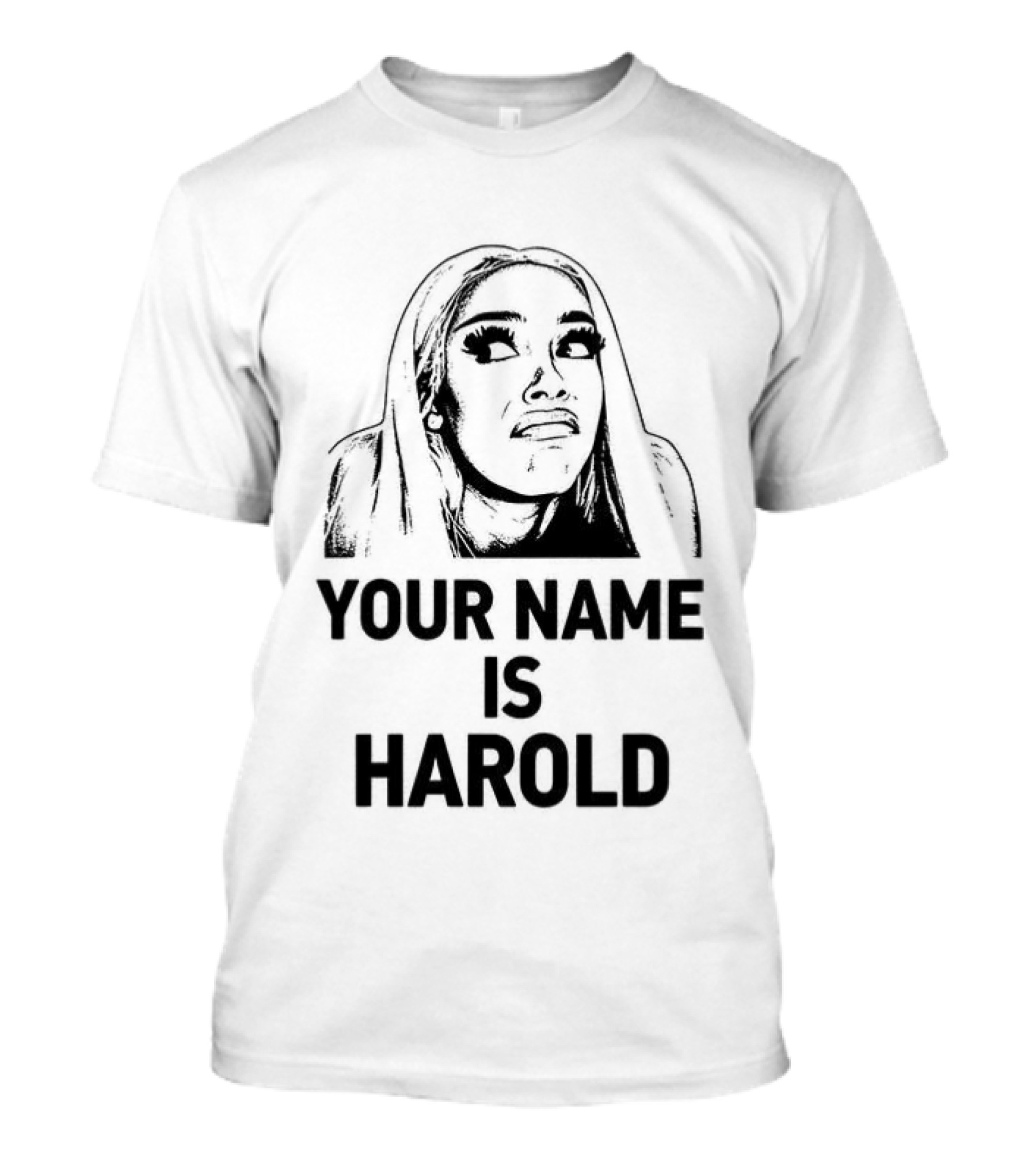 Your Name Is Harold Meme Humor T-Shirt