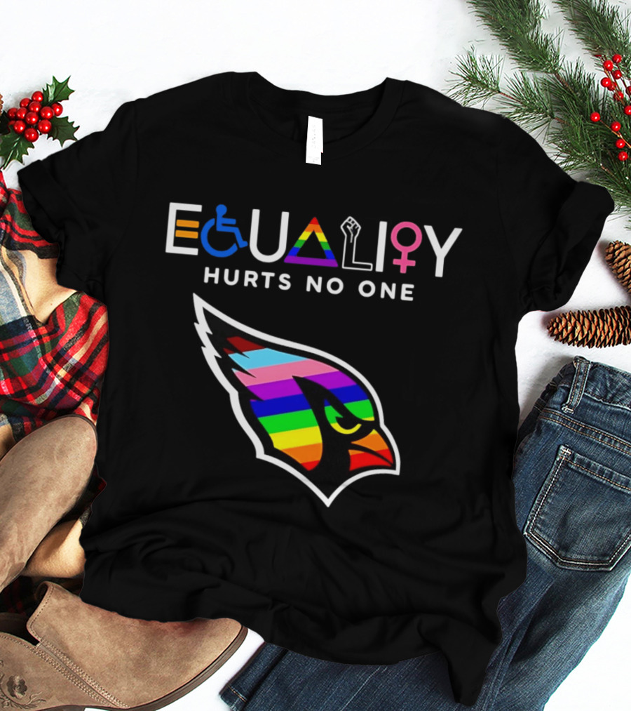Arizona Cardinals Pride Equality Hurts No One Inclusive Message T-Shirt