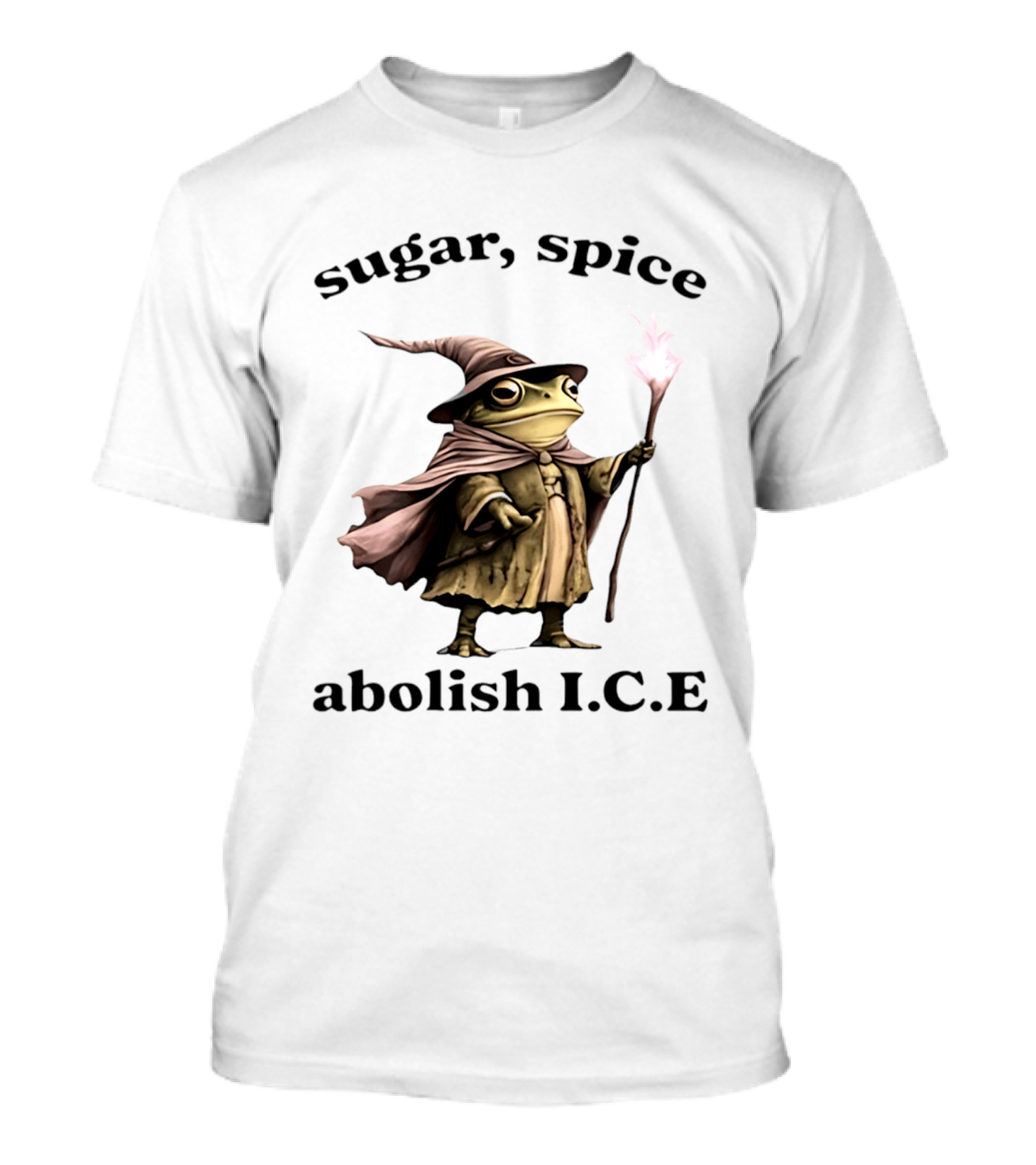 Sugar Spice Wizard Frog Abolish ICE 2026 T-Shirt