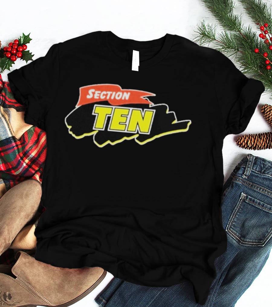 Section Ten Cartoon T-Shirt
