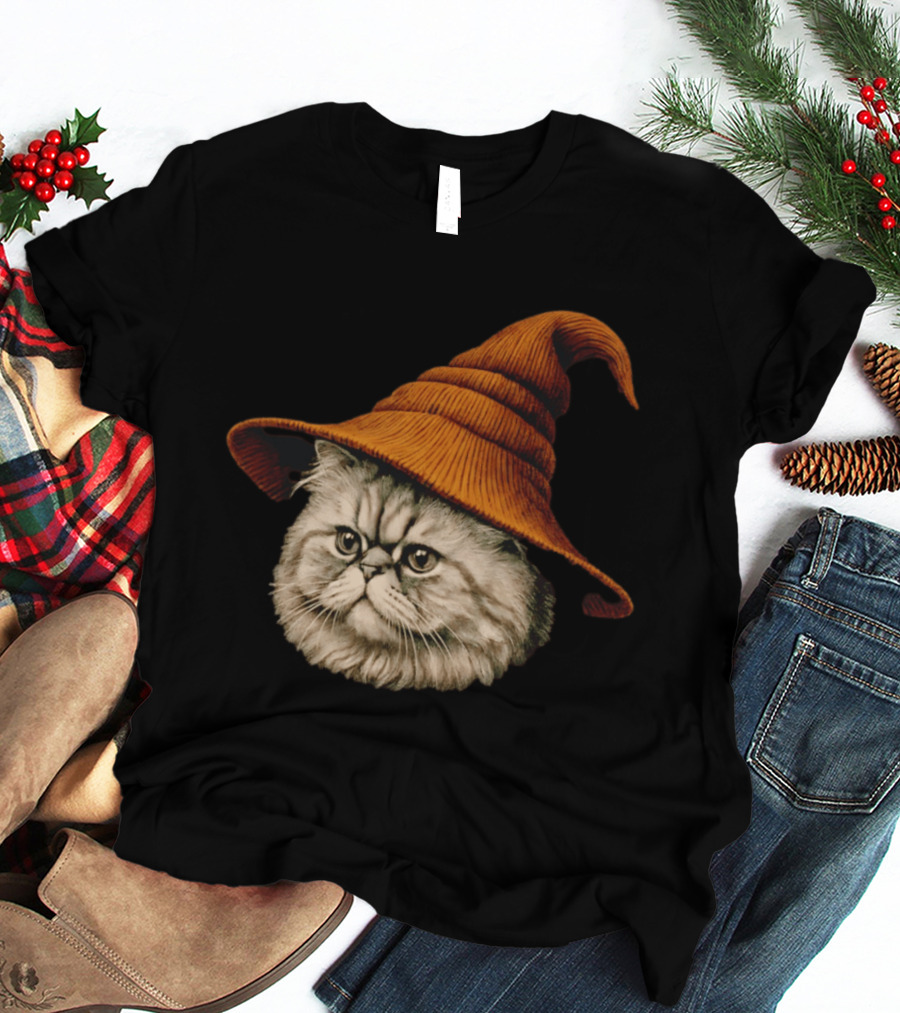 Beanie Cat Wizard Cartoon Plush Orange Hat Feline T-Shirt
