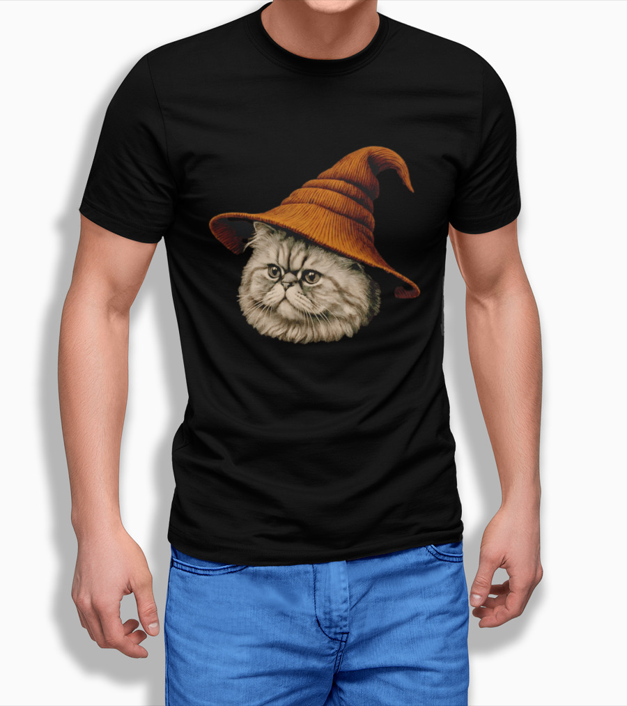 Beanie Cat Wizard Cartoon Plush Orange Hat Feline T-Shirt