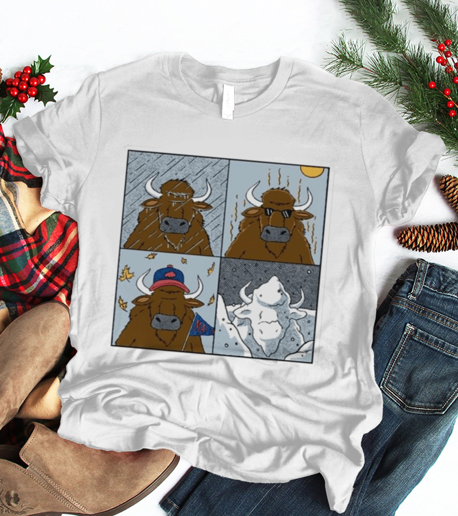 Buffalo Bills Seasons Buffalo Cartoon NFL Sports Fan T-Shirt