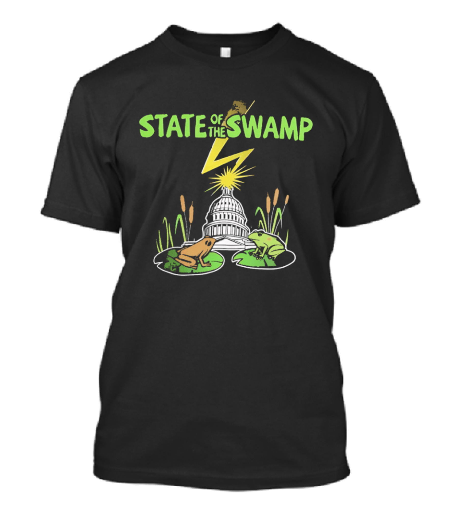 STATE OF THE SWAMP Capitol Frogs And Lightning Bolt Scene T-Shirt
