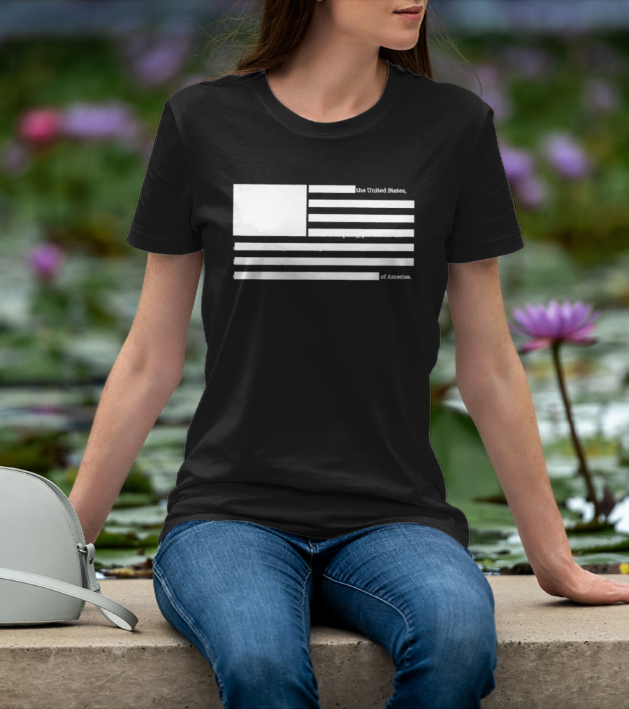 United States Declaration Of Independence Flag T-Shirt
