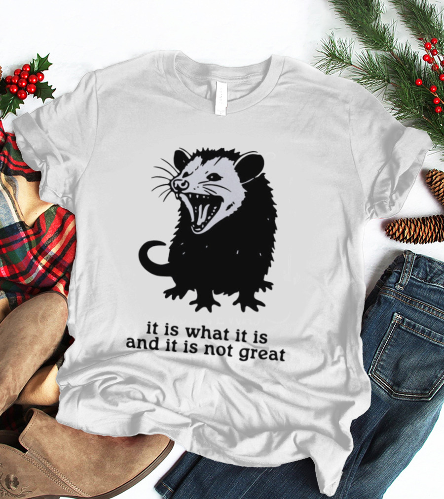 It Is What It Is And It Is Not Great Opossum T-Shirt