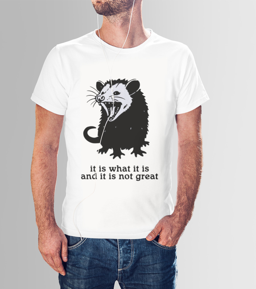 It Is What It Is And It Is Not Great Opossum T-Shirt