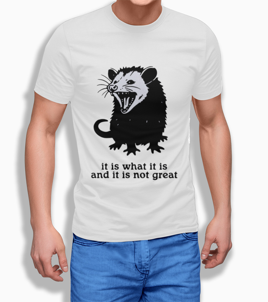 It Is What It Is And It Is Not Great Opossum T-Shirt