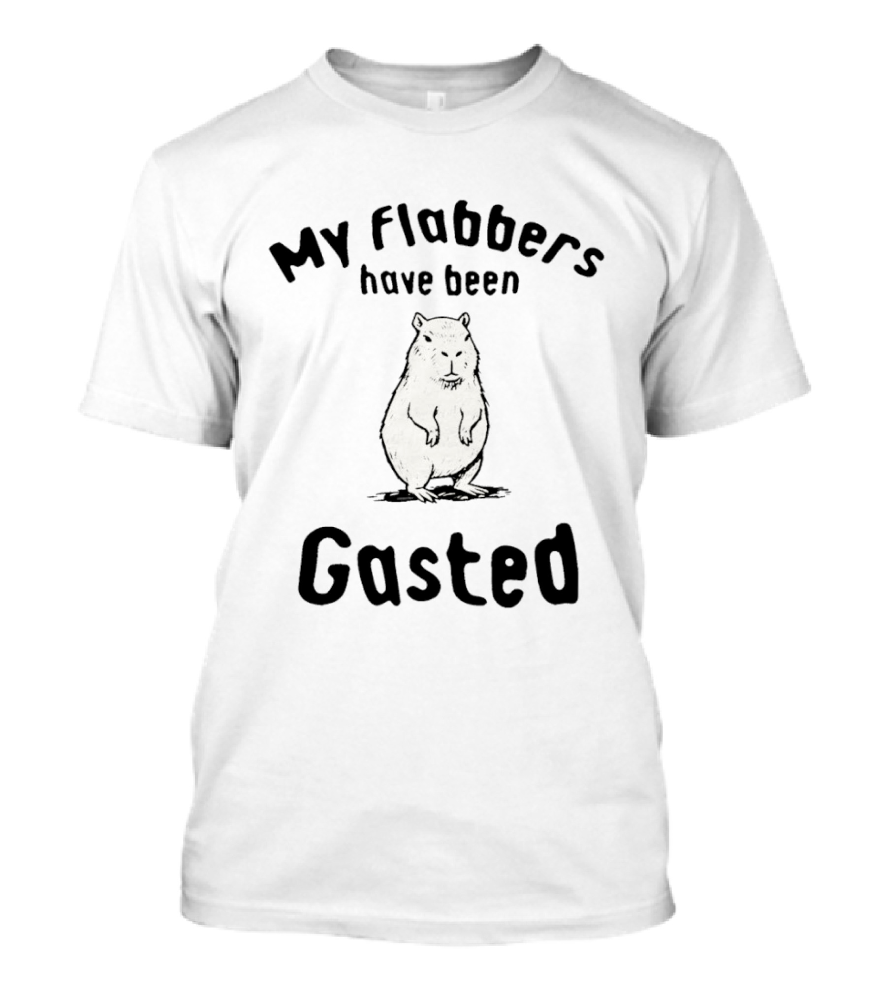 My Flabbers Have Been Gasted Capybara Meme T-Shirt