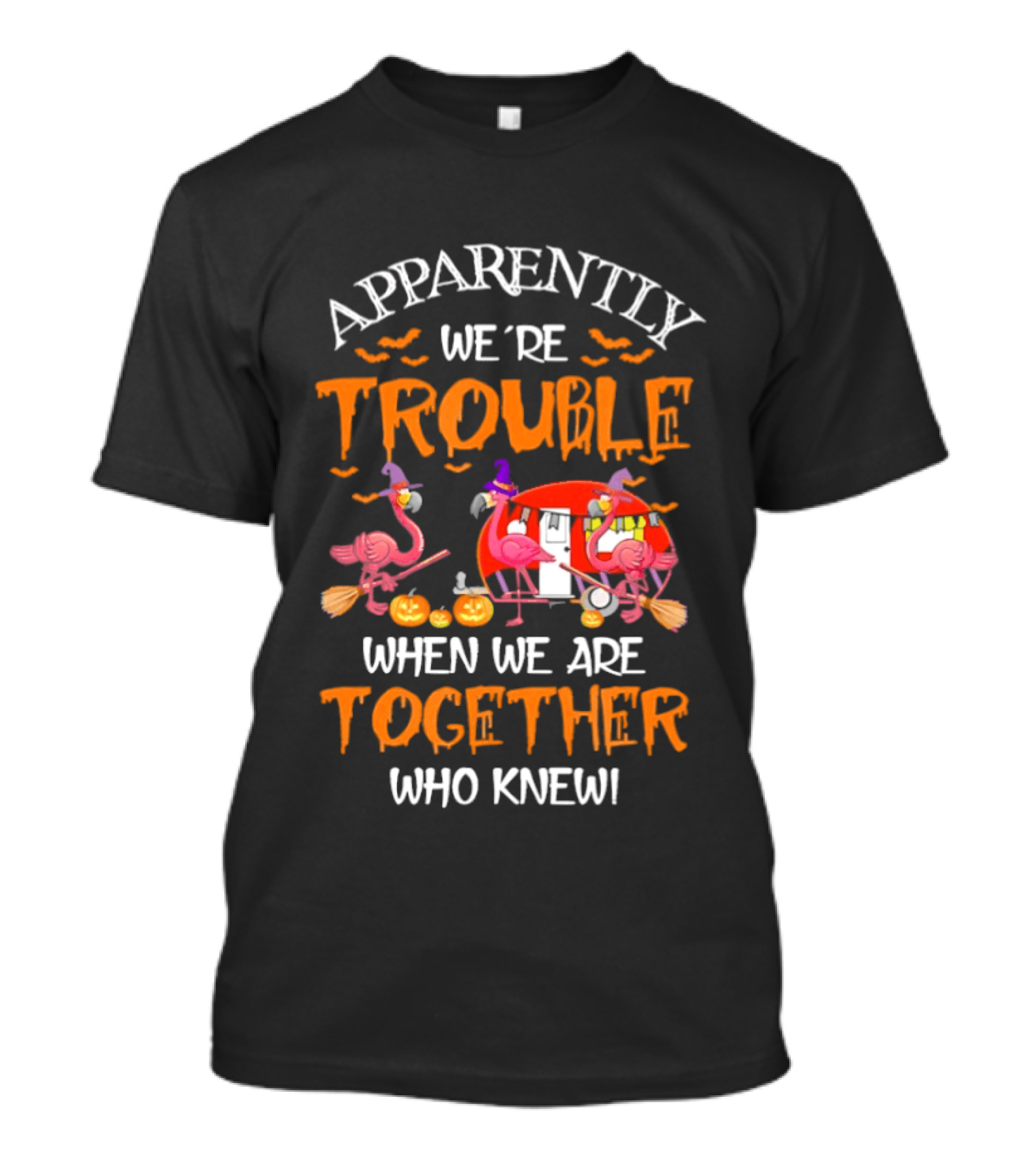 Apparently We're Trouble Flamingos Halloween Together Who Knew T-Shirt