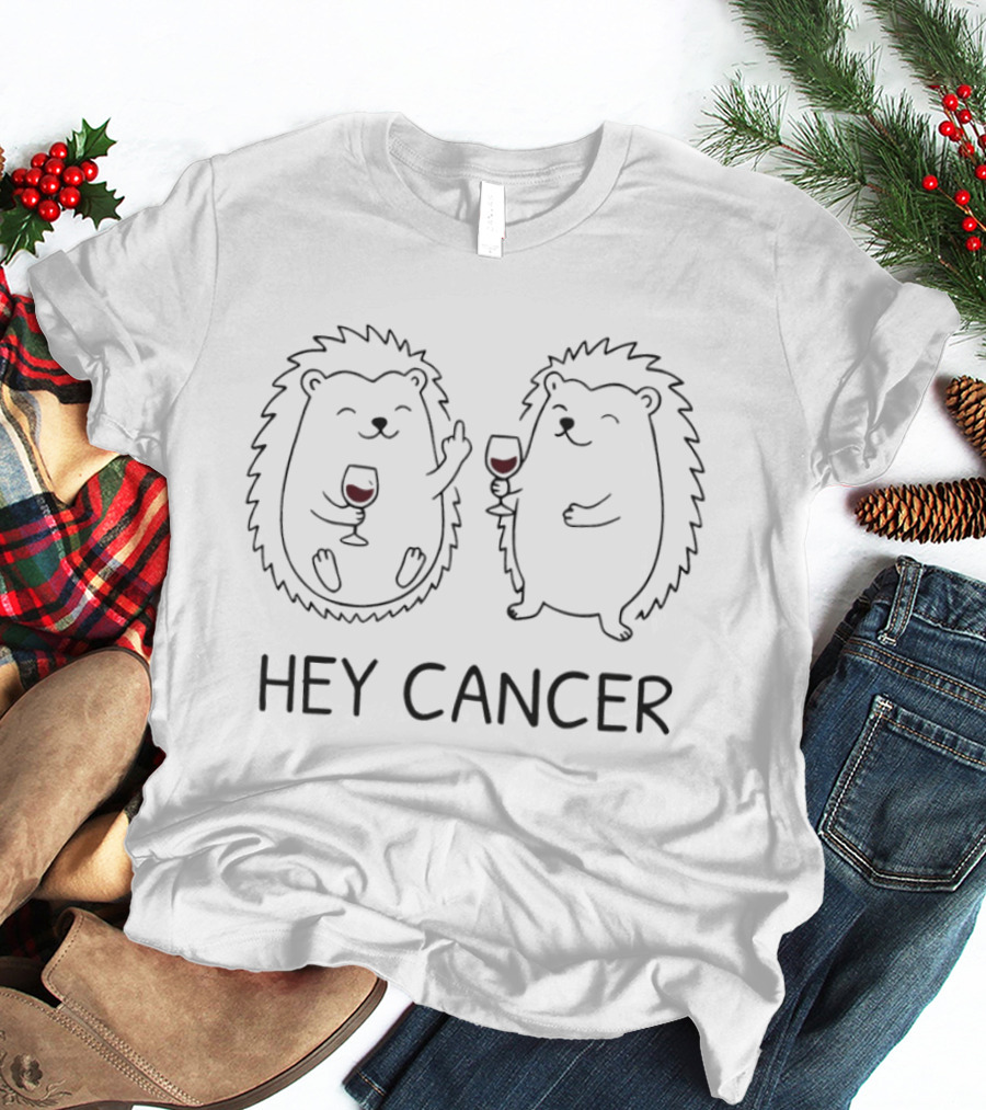 Hey Cancer Hedgehogs Wine Cheers Fun Motivational Message T-Shirt