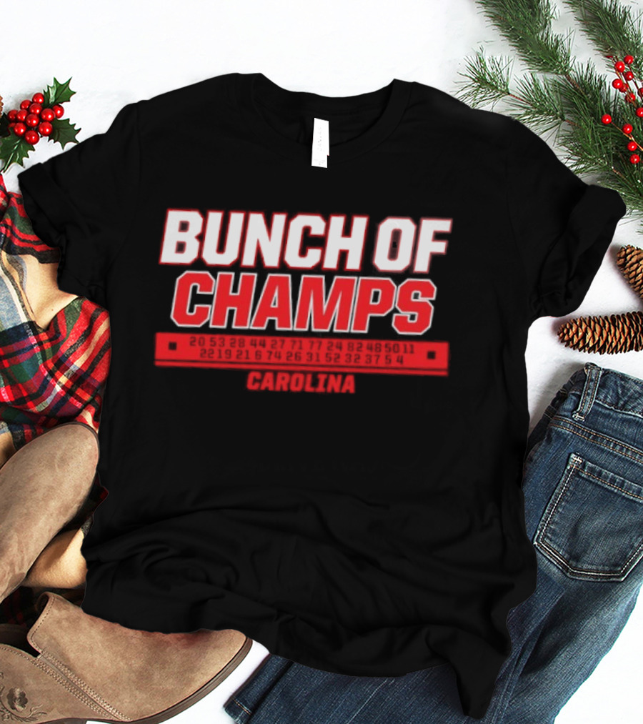 Carolina Hurricanes Bunch Of Champs 2026 T-Shirt