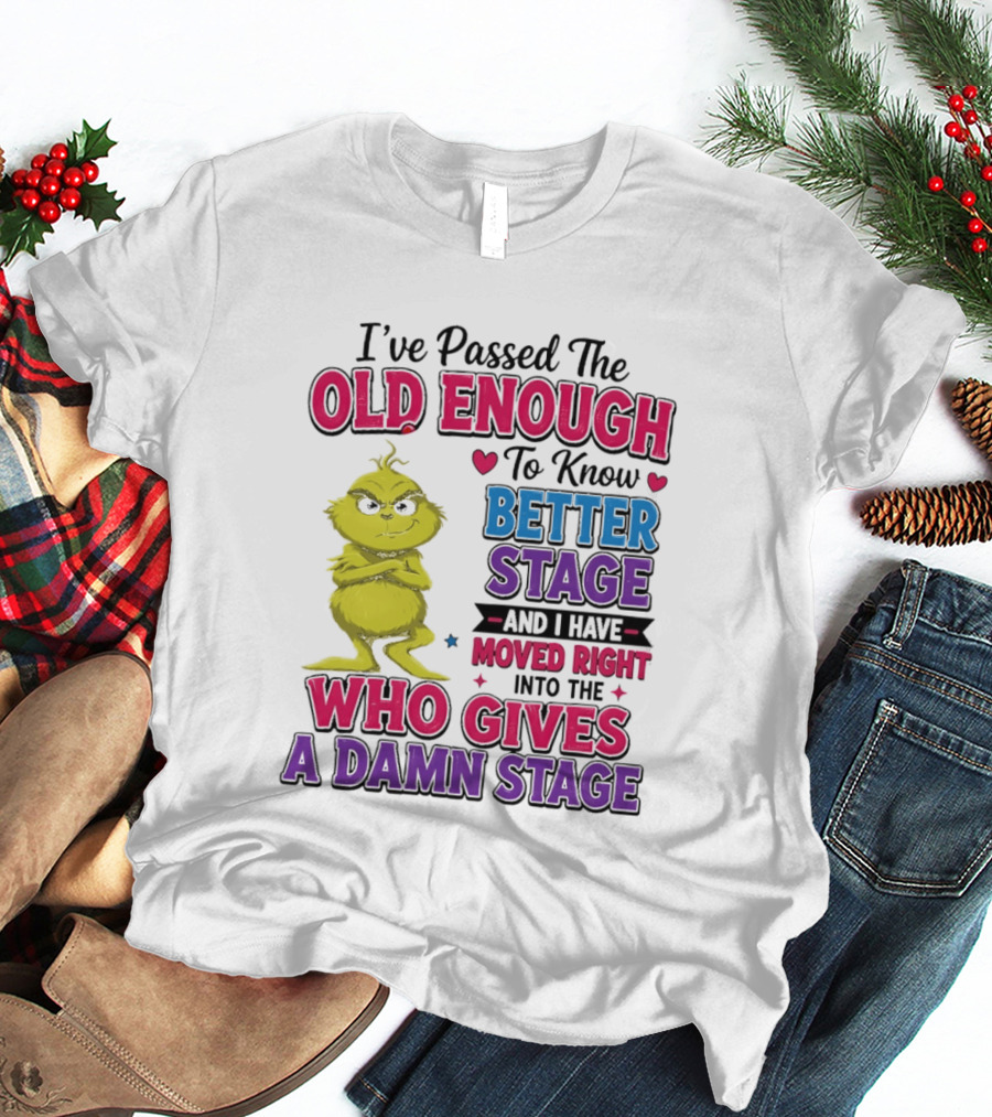 Passed The Old Enough To Know Better Moved Right Into The Who Gives A Damn Stage T-Shirt