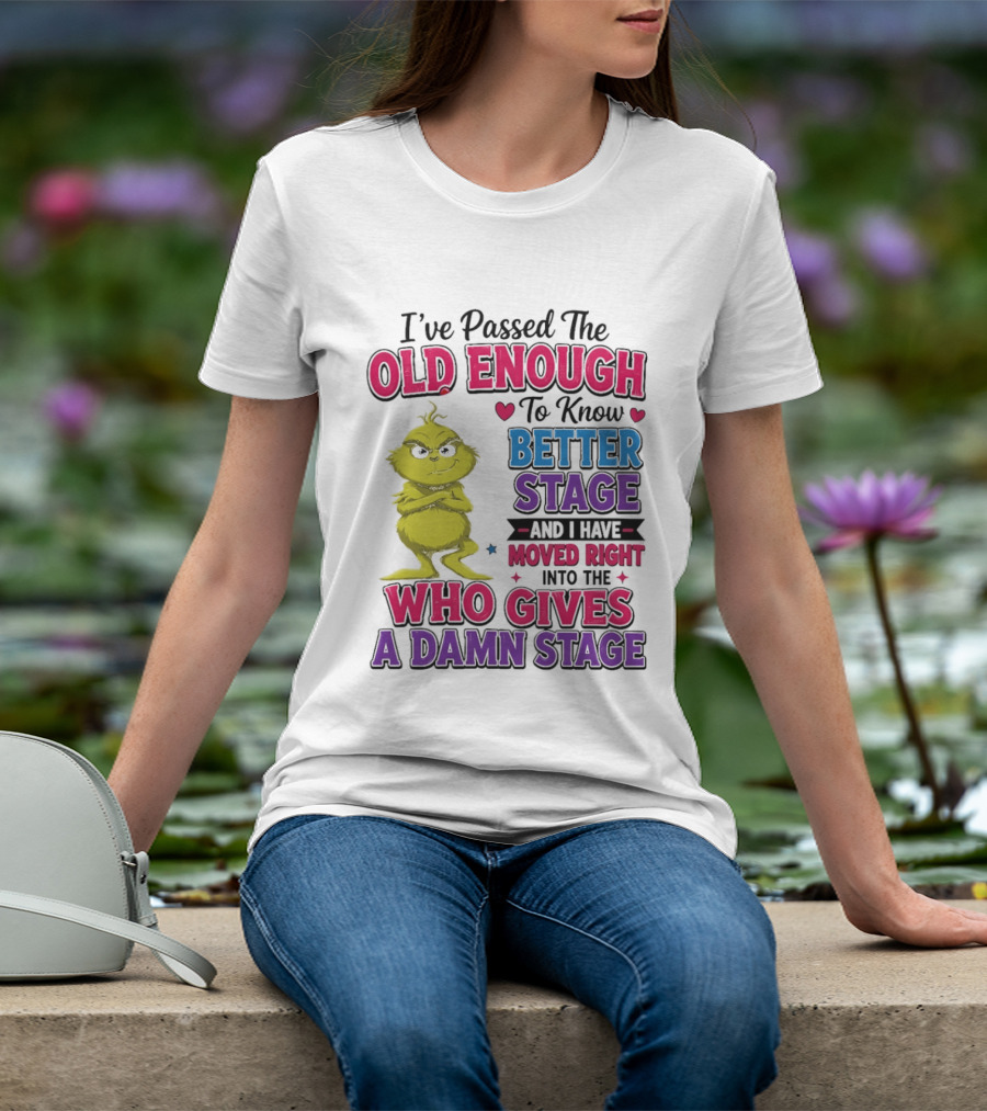 Passed The Old Enough To Know Better Moved Right Into The Who Gives A Damn Stage T-Shirt