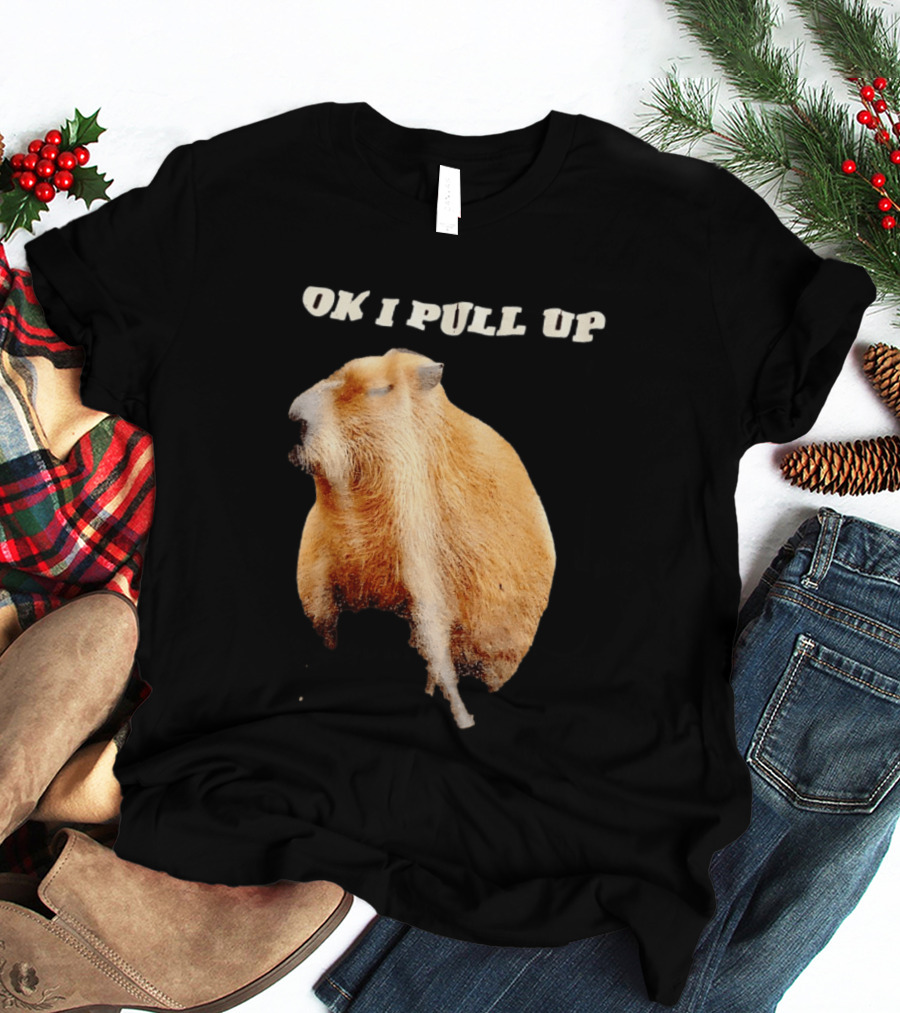 Ok I Pull Up Capybara Meme T-Shirt