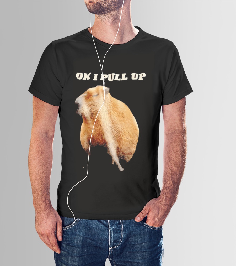 Ok I Pull Up Capybara Meme T-Shirt