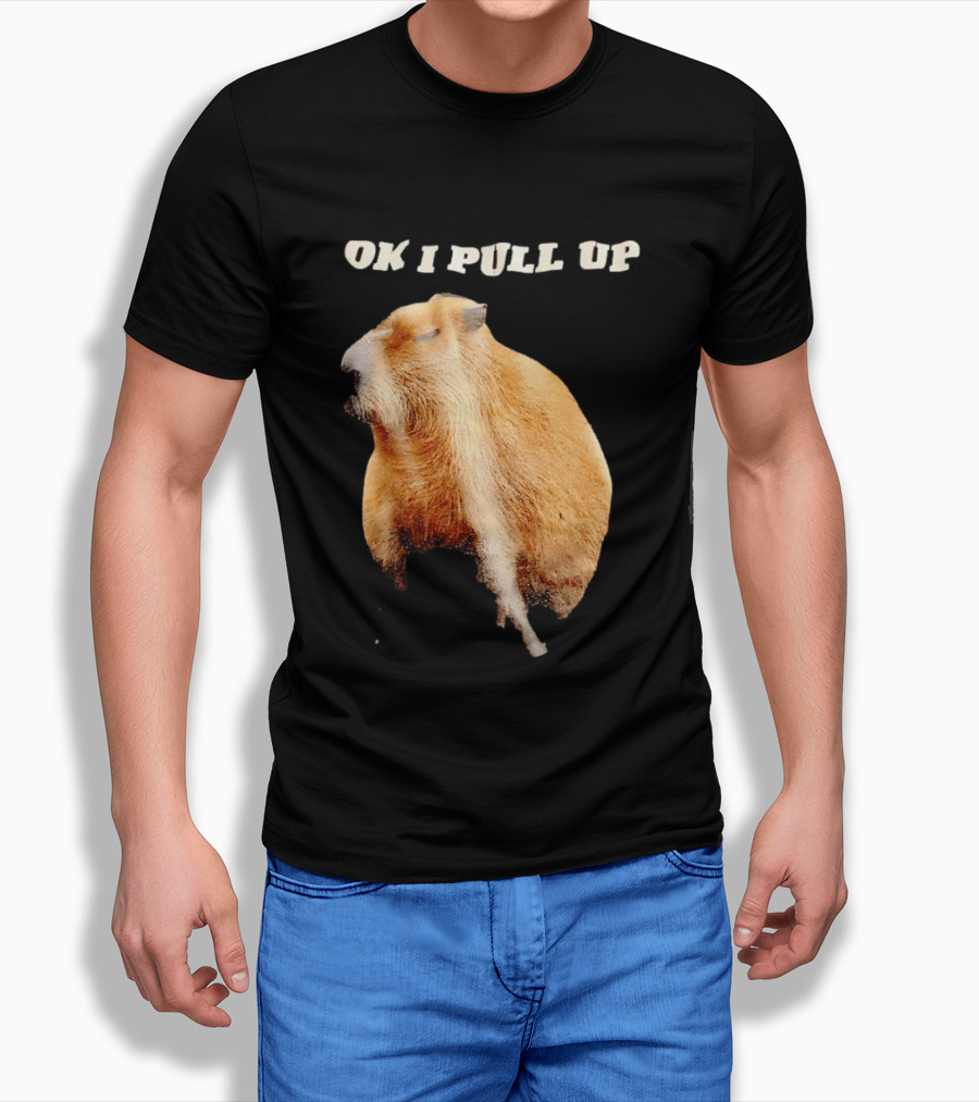 Ok I Pull Up Capybara Meme T-Shirt