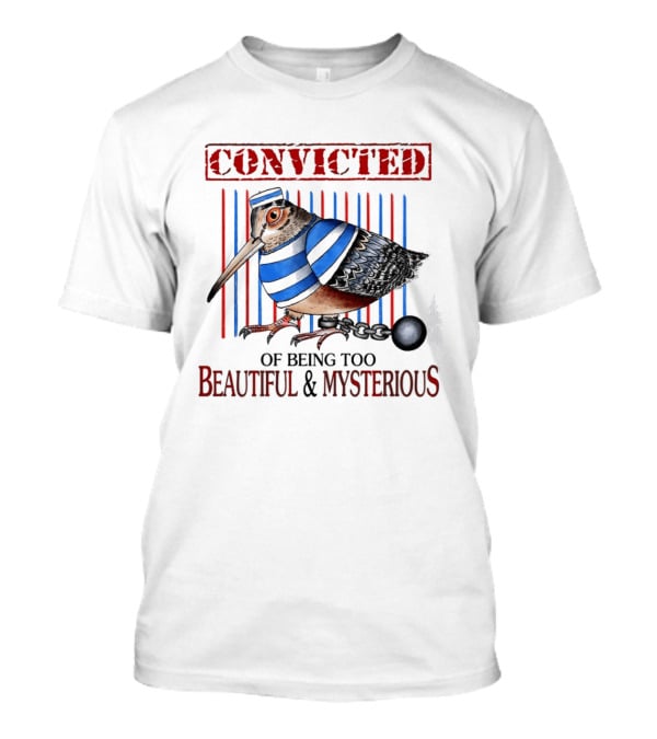 Convicted Of Being Too Beautiful And Mysterious Bird Prisoner Stripes T-Shirt