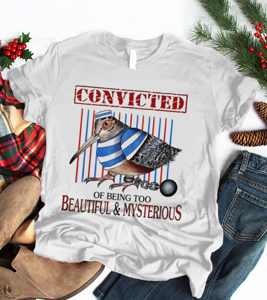 Convicted Of Being Too Beautiful And Mysterious Bird Prisoner Stripes T-Shirt