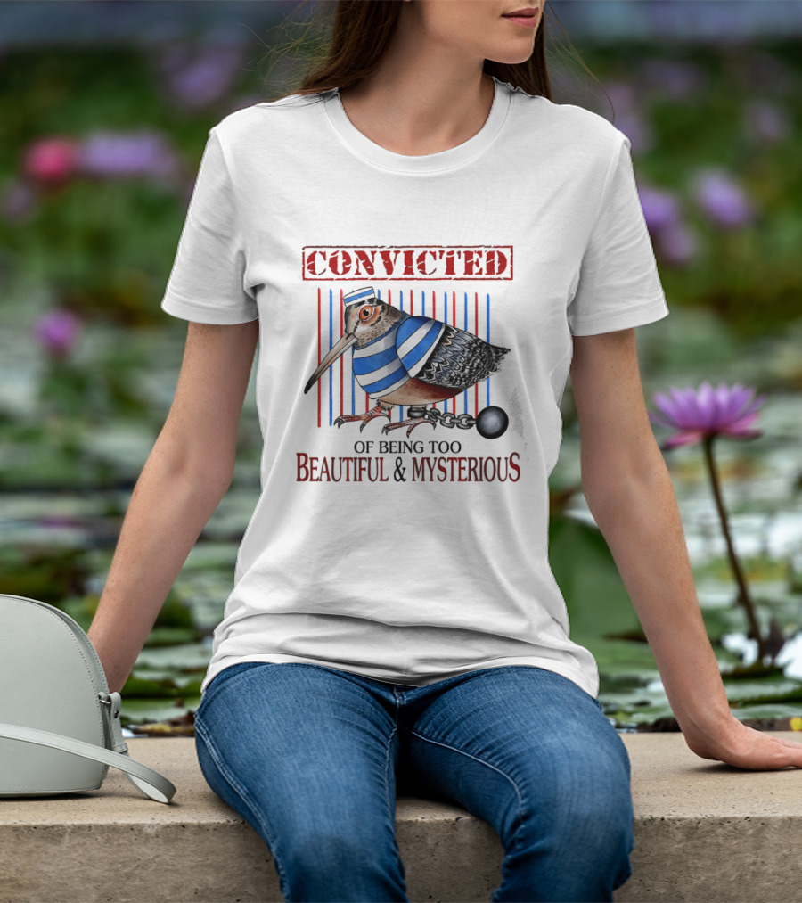 Convicted Of Being Too Beautiful And Mysterious Bird Prisoner Stripes T-Shirt