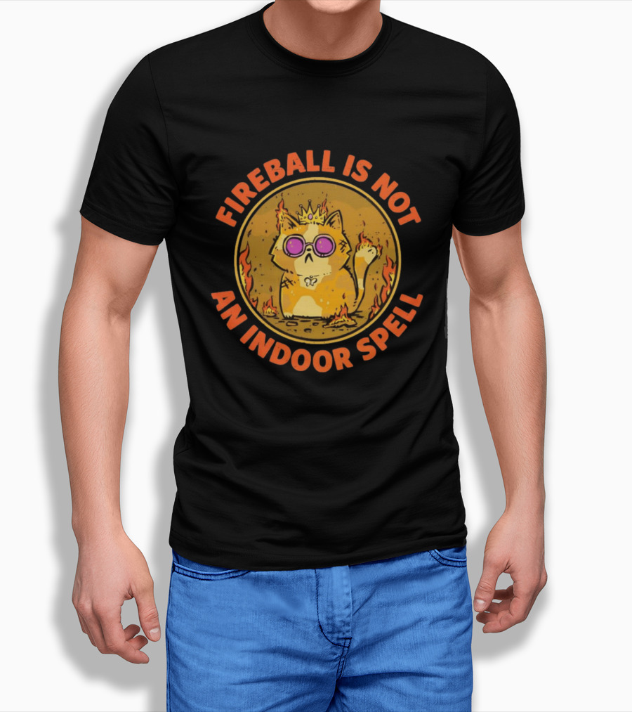Princess Donut Fireball Is Not An Indoor Spell Dungeon Crawler Carl T-Shirt