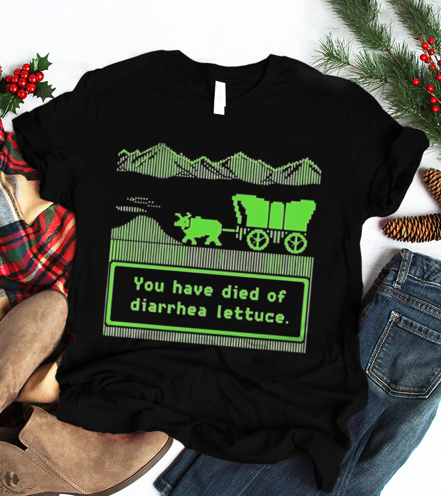 You Have Died Of Diarrhea Lettuce Oregon Trail Wagon Pixelated Retro Text Green T-Shirt